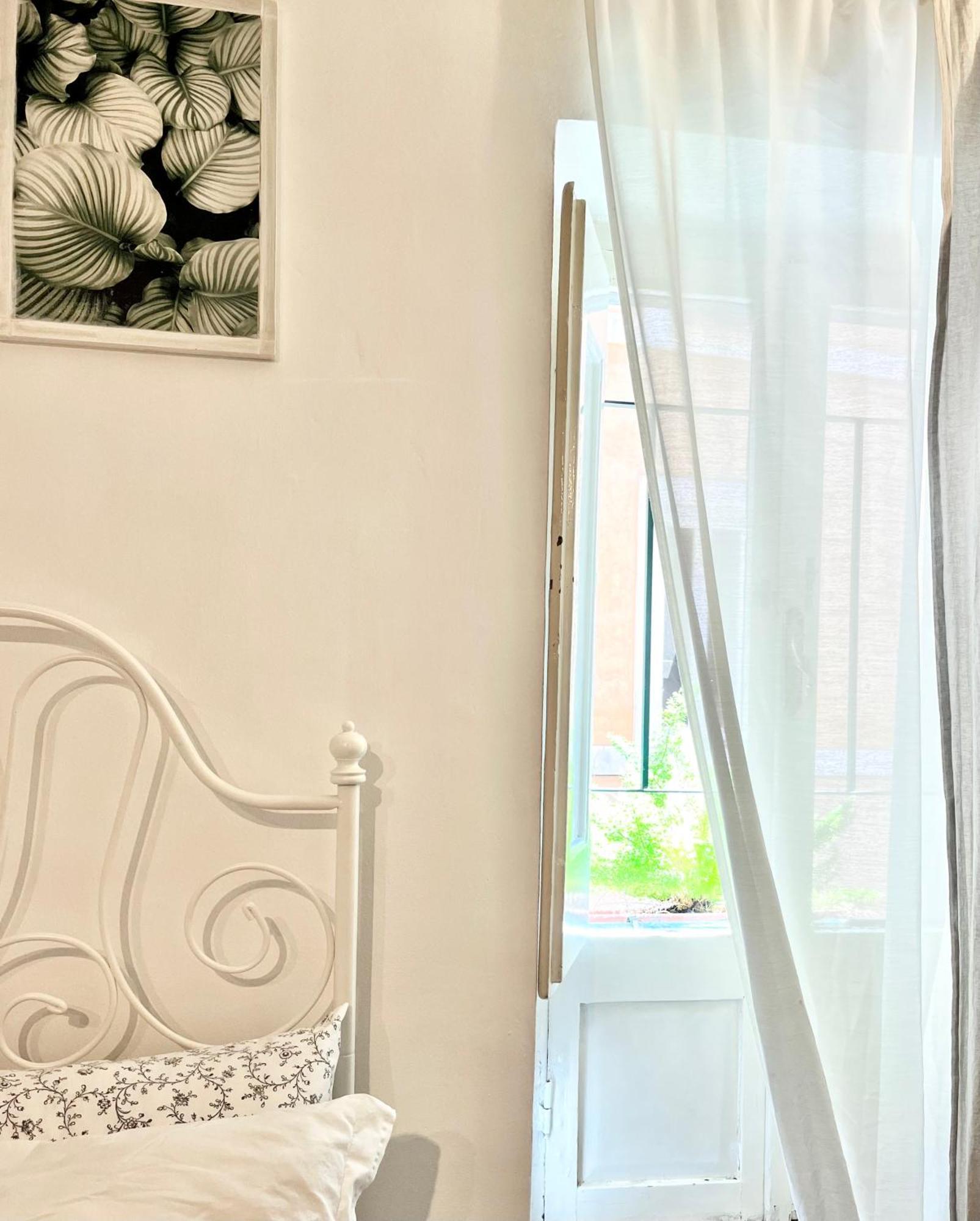Glory House Navona Square Apartment Rome Exterior photo